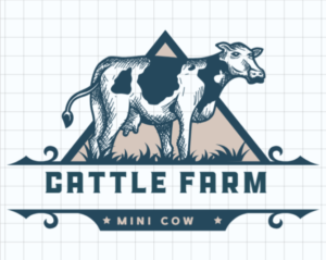 Mini highland cow for sale